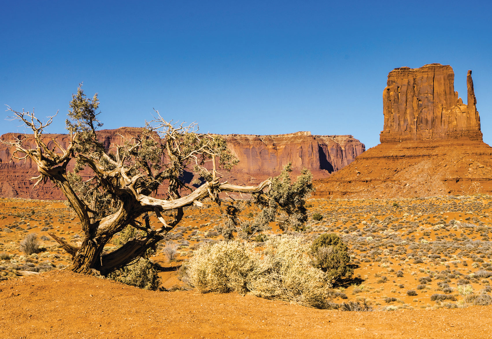 Monument Valley Collection